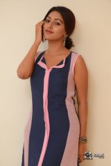 Anu Emmanuel At Majnu Movie Audio Success Meet